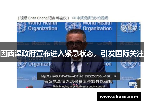 因西涅政府宣布进入紧急状态，引发国际关注